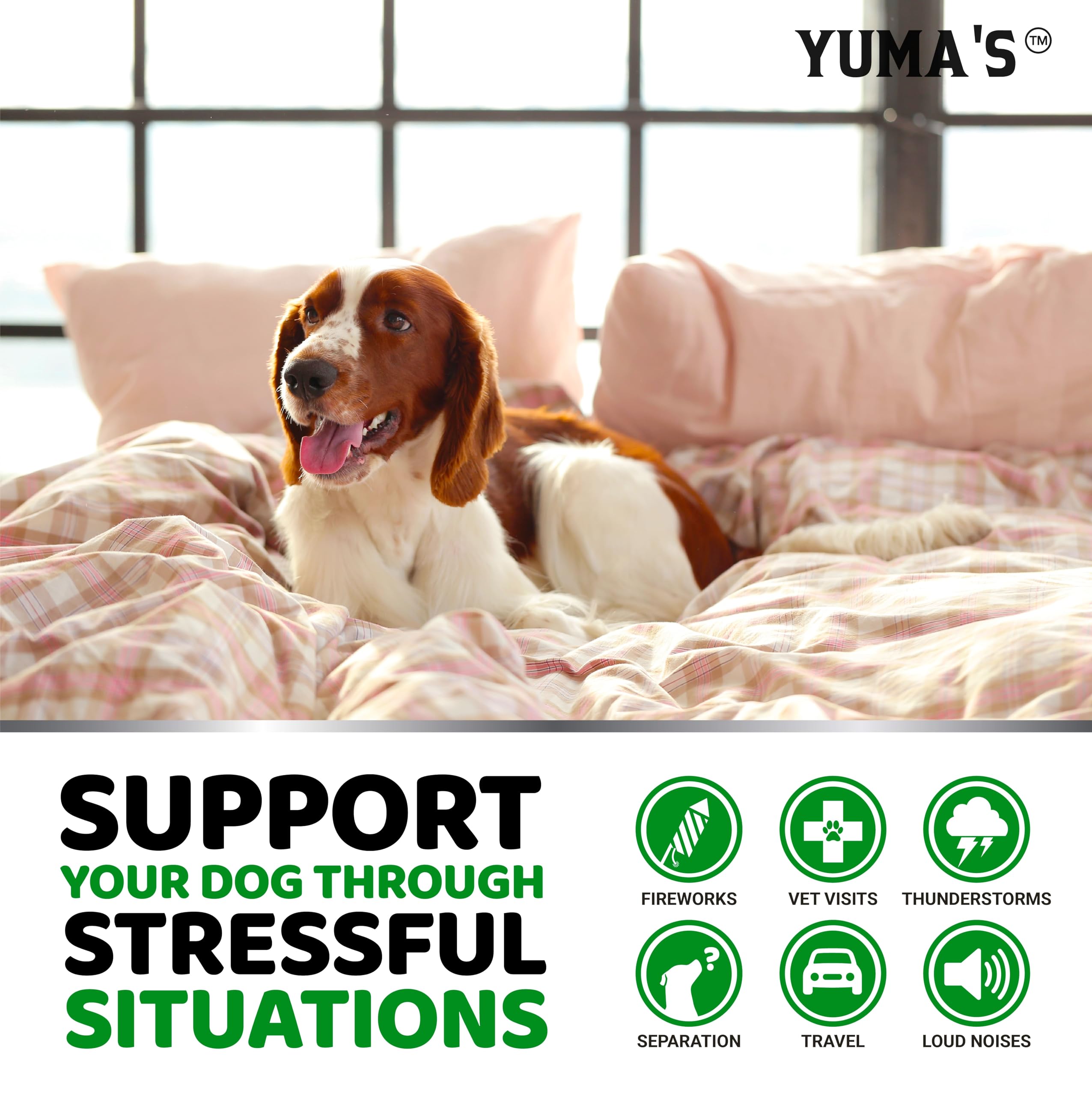 Ingredientes naturales de YUMA'S para perros, enfoque herbal que incluye cáñamo y valeriana.