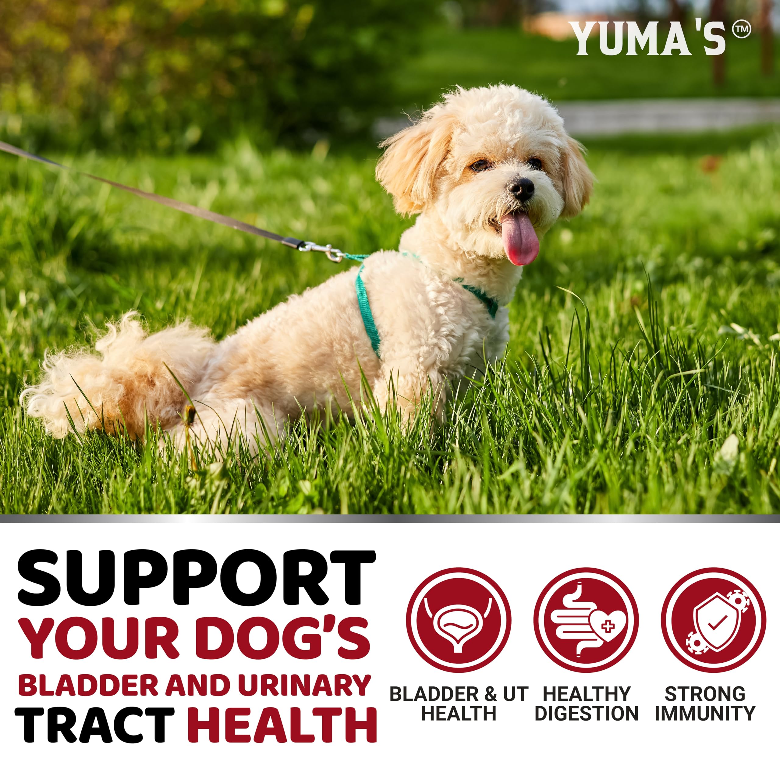 YUMA'S ingredientes naturales uti para perros: sin aditivos artificiales.