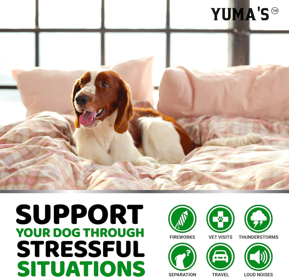 YUMA'S masticables calmantes para perros sobre mostrador, aptos para visitas al veterinario.
