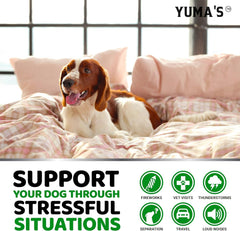 YUMA'S masticables calmantes para perros sobre mostrador, aptos para visitas al veterinario.
