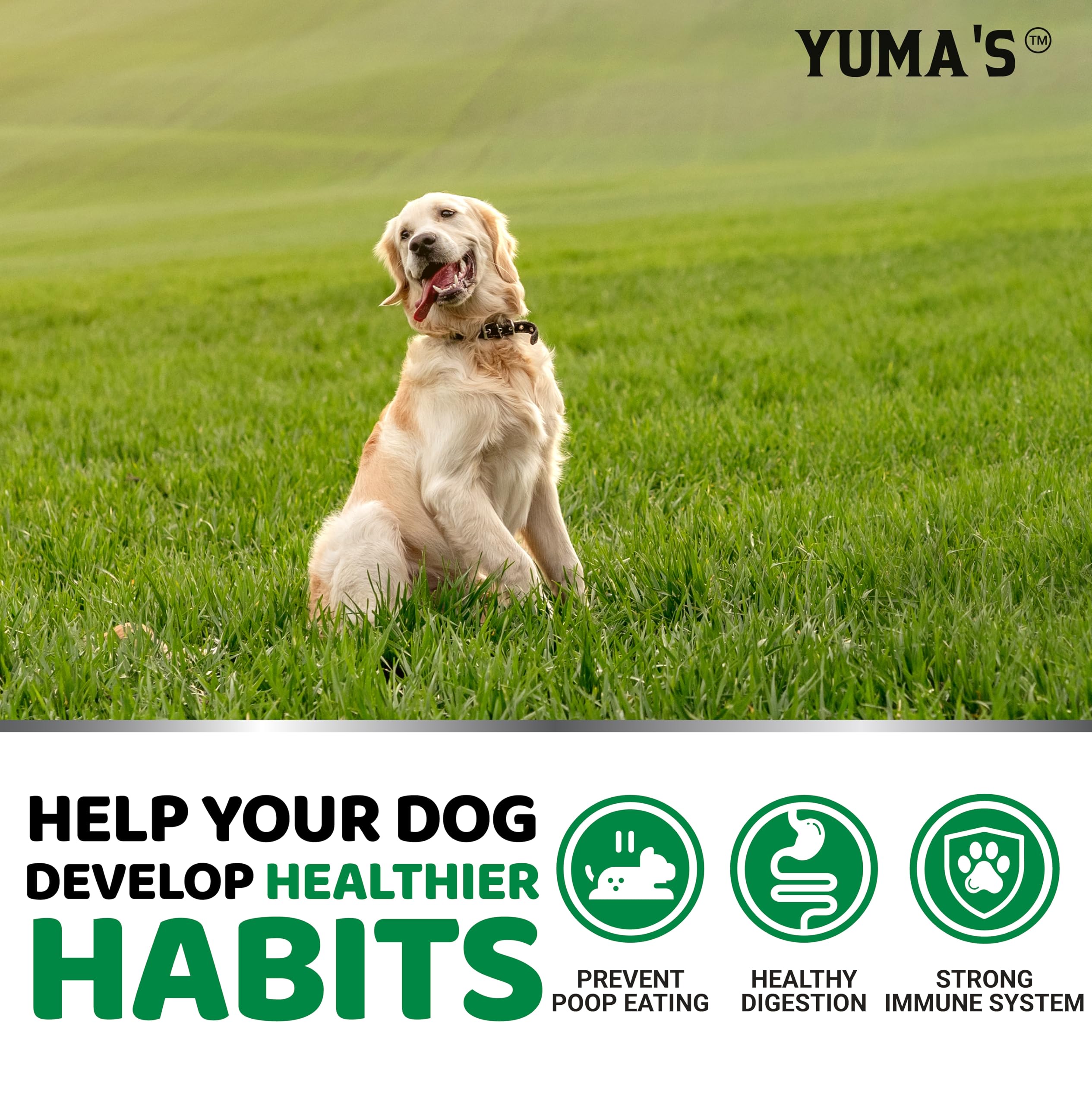 YUMA'S No Poo Chews sabor irresistible para administración diaria