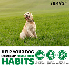 YUMA'S No Poo Chews sabor irresistible para administración diaria
