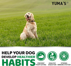 YUMA'S Perro acepta el masticable, uso diario sencillo.