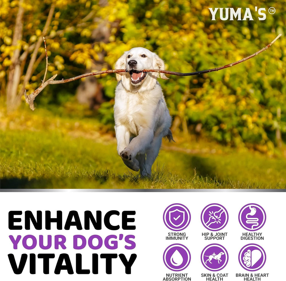 YUMA'S omega y nutrientes para piel sana y pelaje brillante.