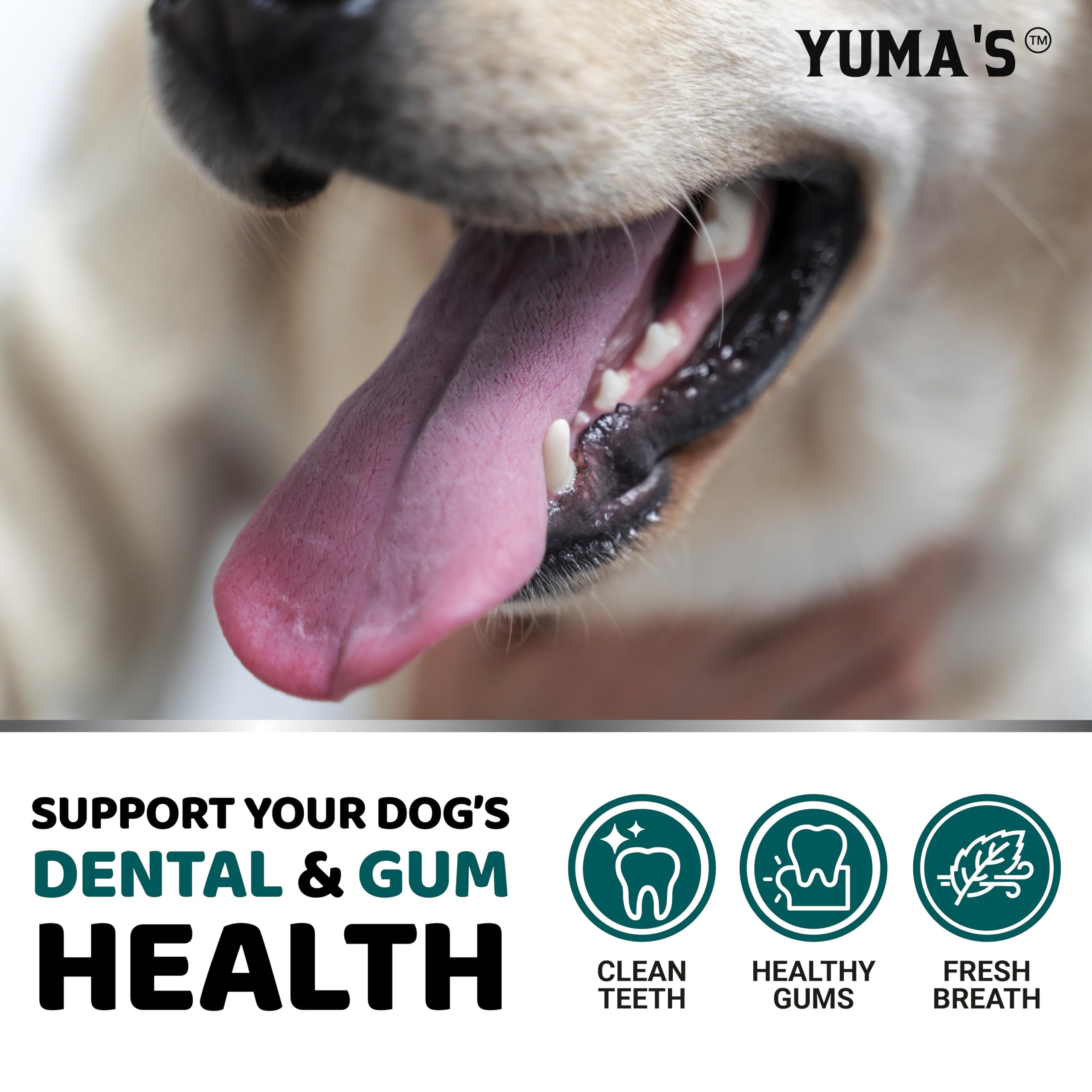 YUMA'S polvo dental para perros, formulado por veterinarios para higiene oral segura.