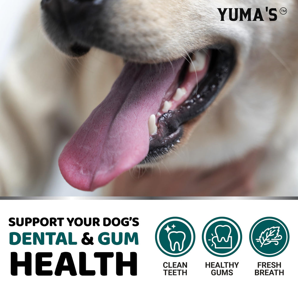 YUMA'S polvo dental para perros, formulado por veterinarios para higiene oral segura.