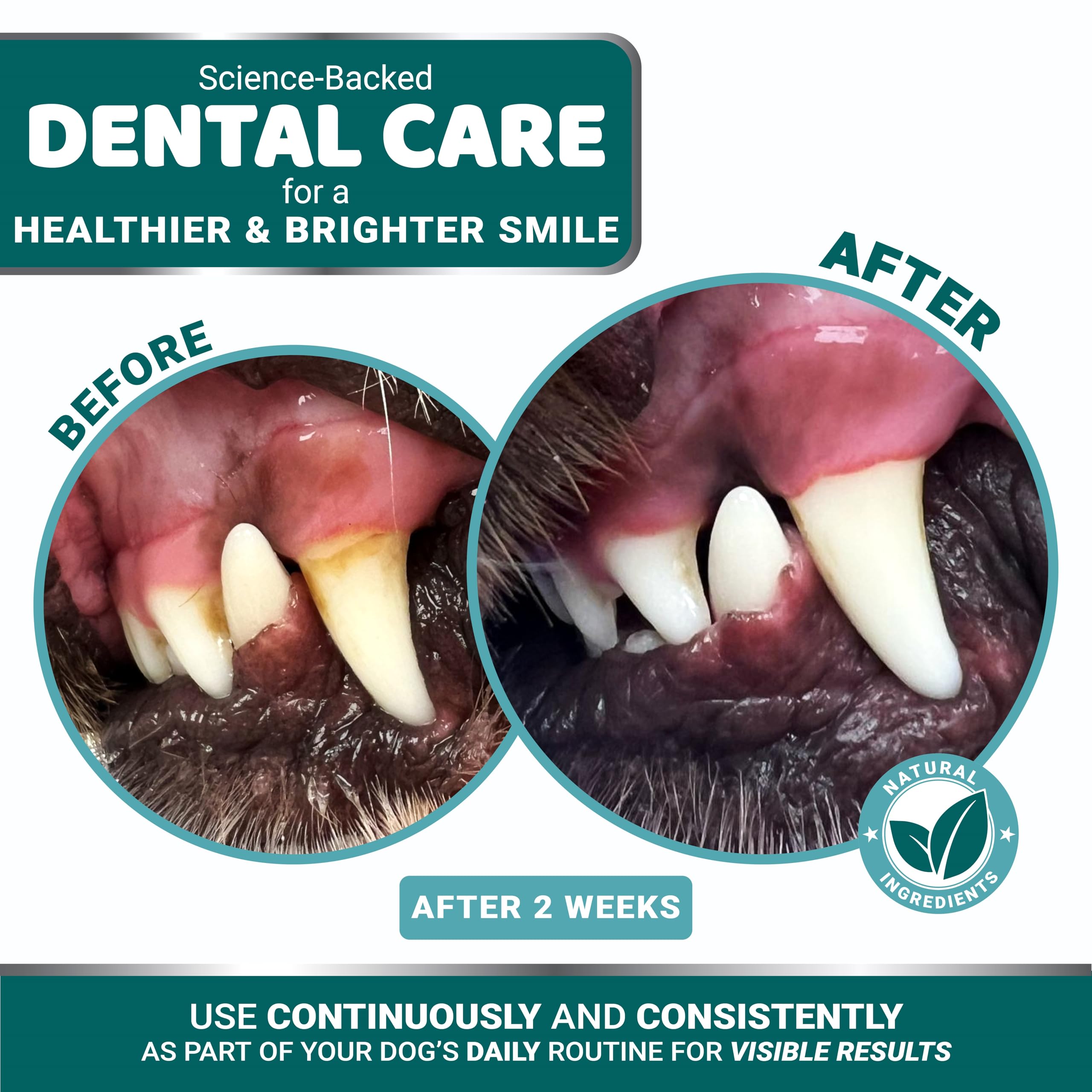 YUMA'S polvo dental para perros, cuida encías sanas y frescas.