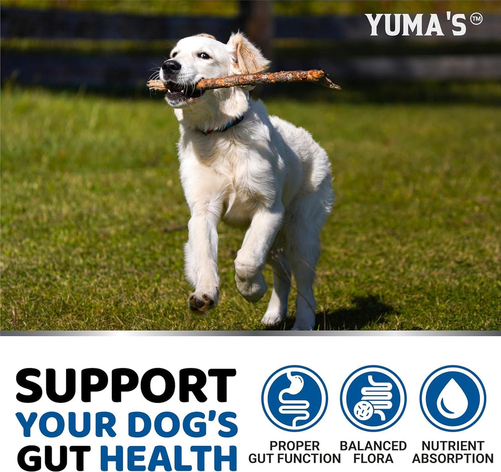 YUMA'S probióticos para perros, pastillas en frasco para uso diario