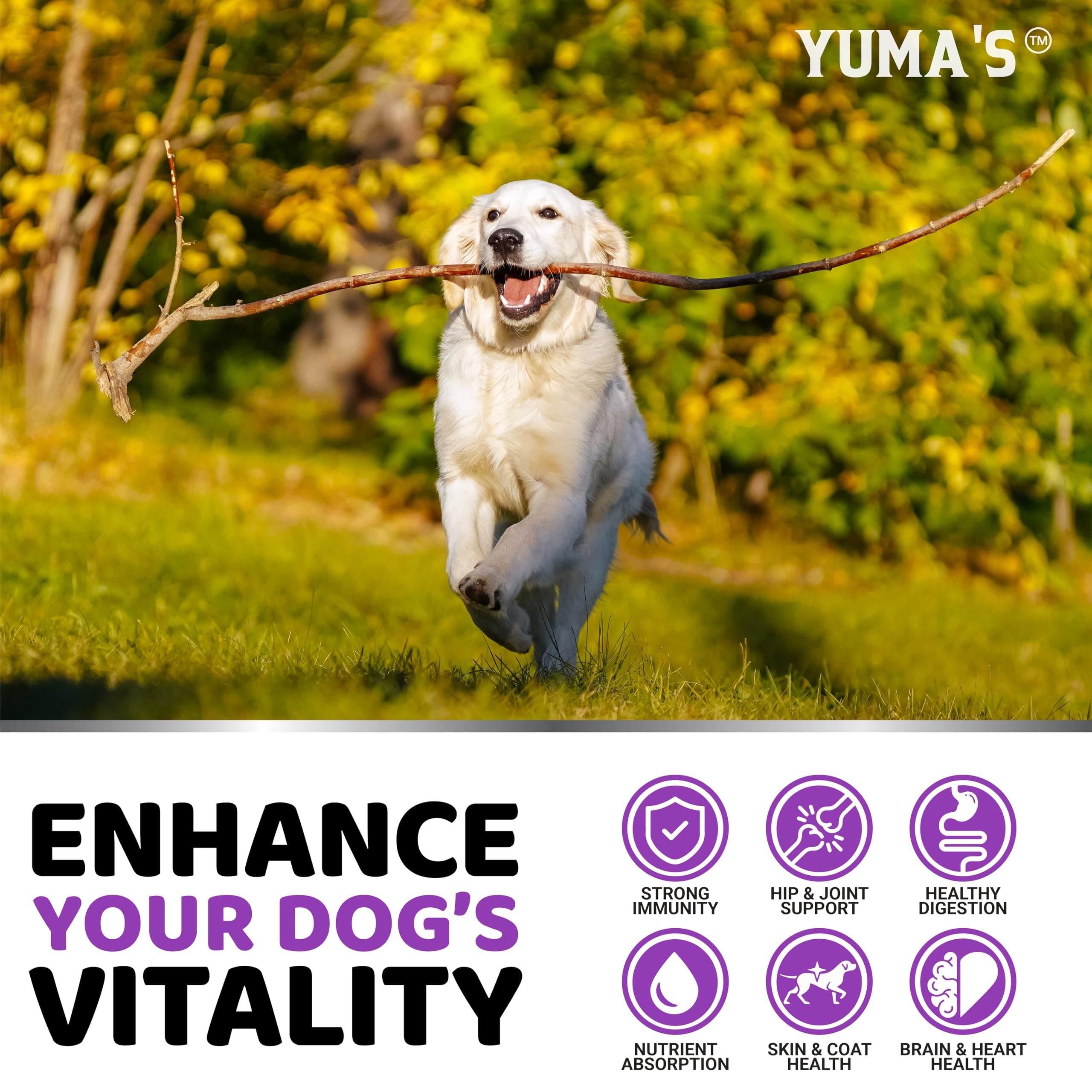YUMA'S para todas las edades de perros, facilidad de incorporación diaria.