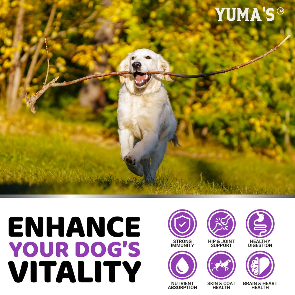 YUMA'S para todas las edades de perros, facilidad de incorporación diaria.
