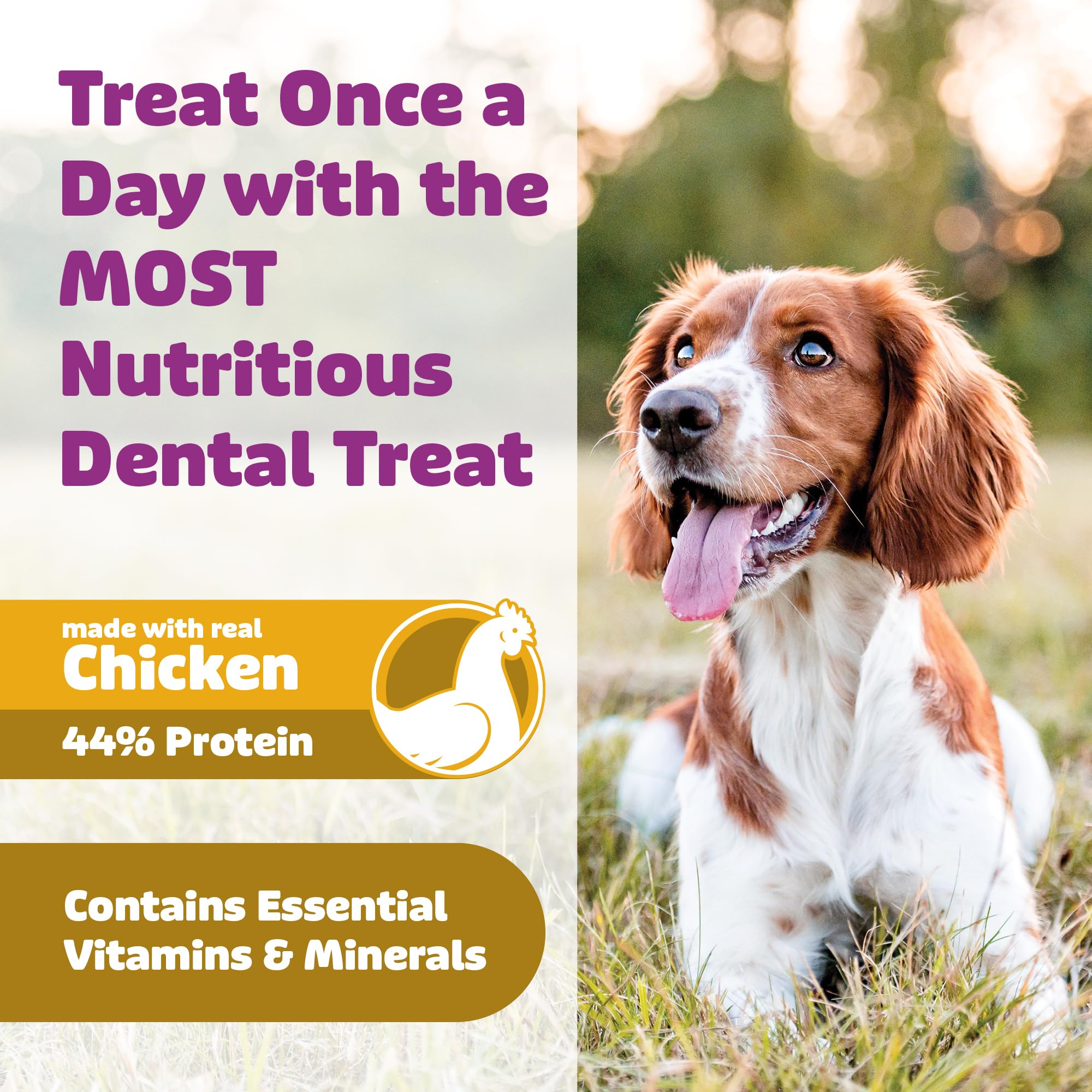 Perro grande disfruta del snack dental para perros grandes.