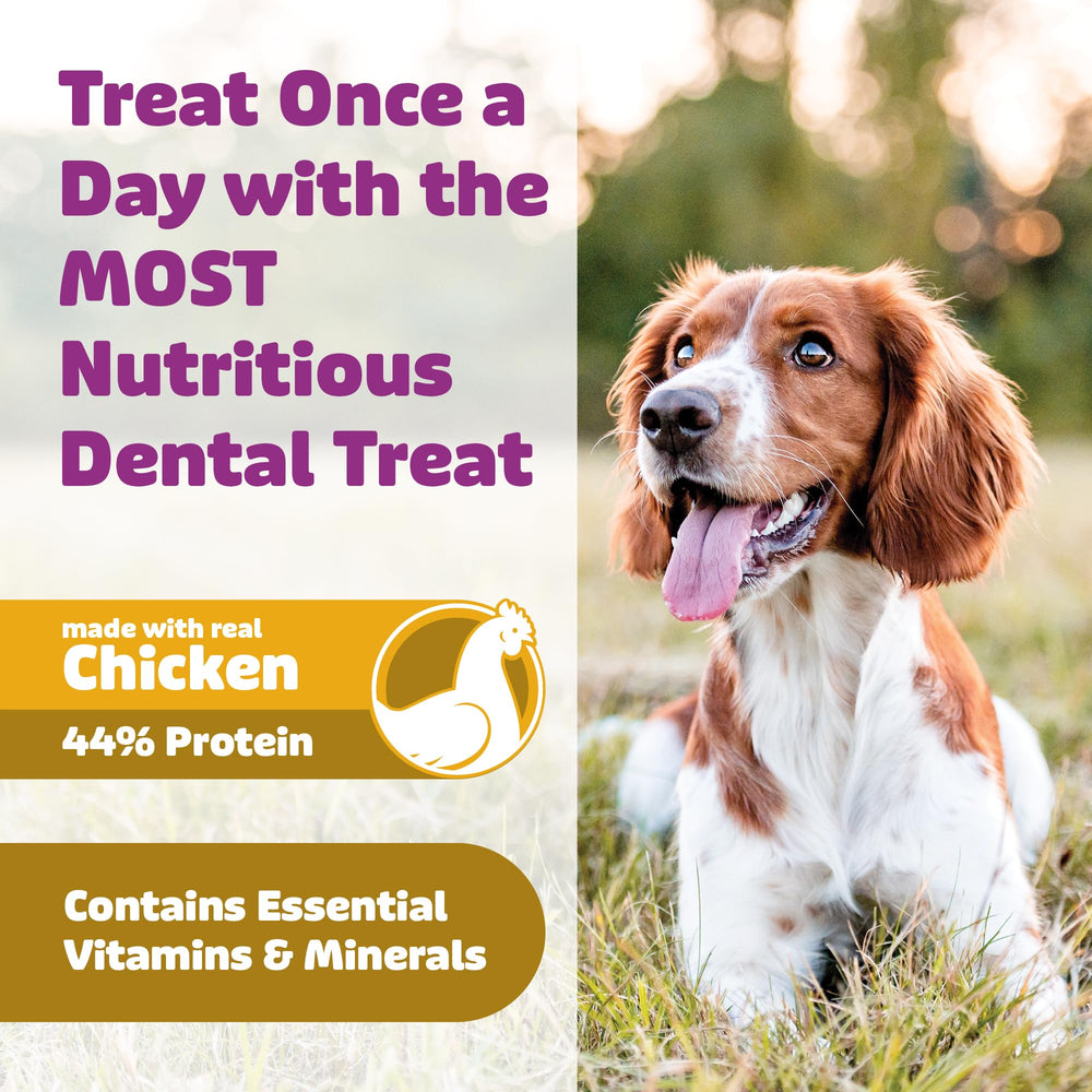 Perro grande disfruta del snack dental para perros grandes.