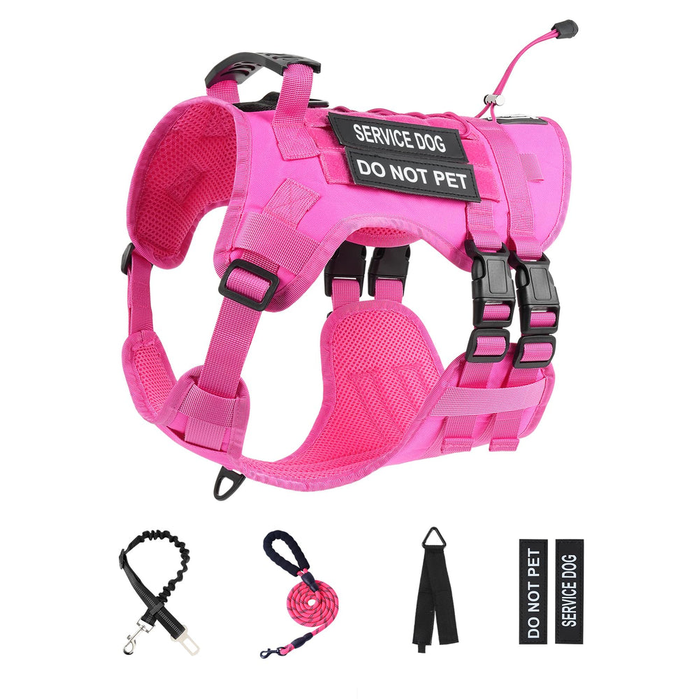 Incluye accesorios: correa, cinturón de coche y parches para identificar.