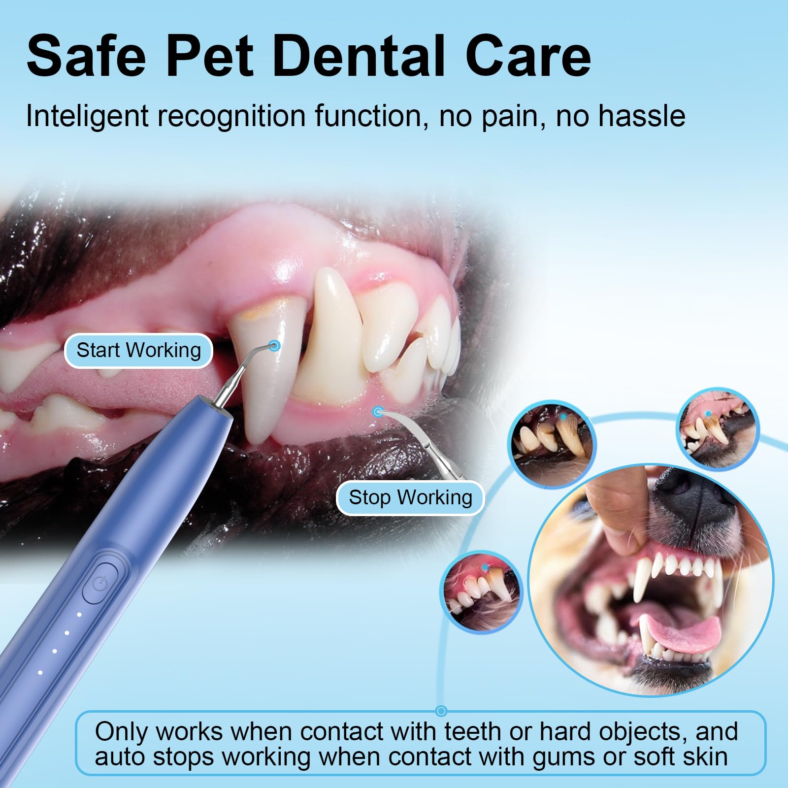 YunLuna sonda dental para inspección durante la limpieza canina