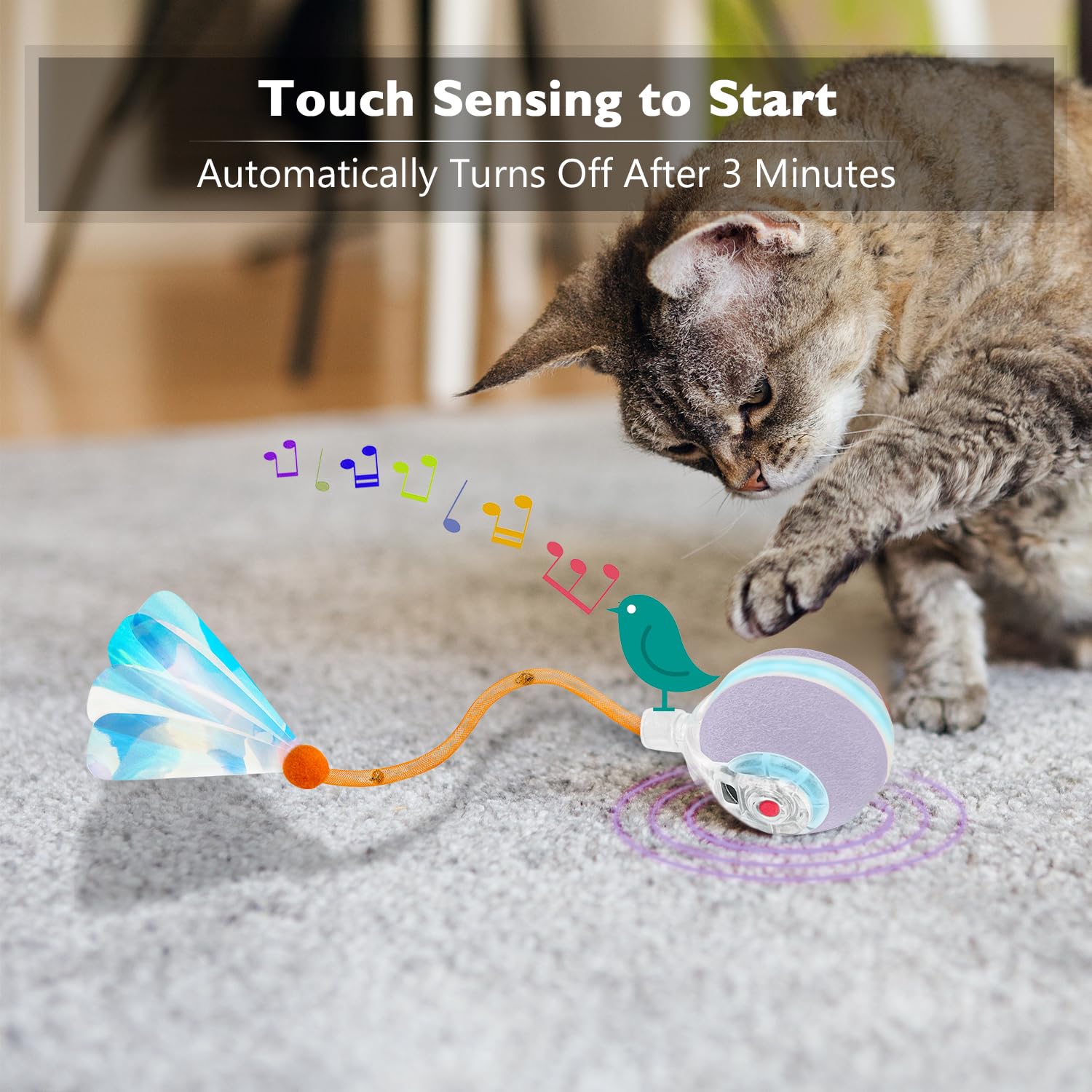 YVE LIFE Sensor de movimiento inteligente activa el juego cuando el gato se acerca.