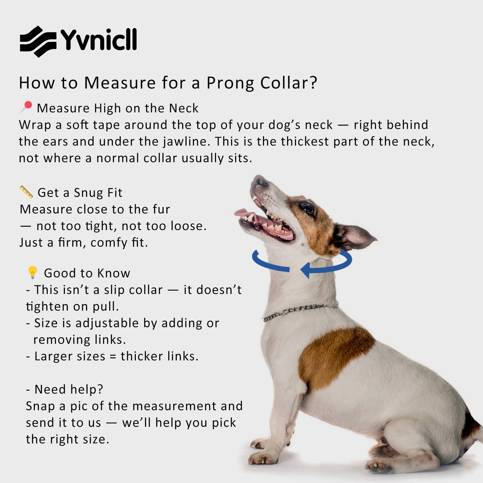 Yvnicll collar de púas en acero inoxidable para mayor durabilidad
