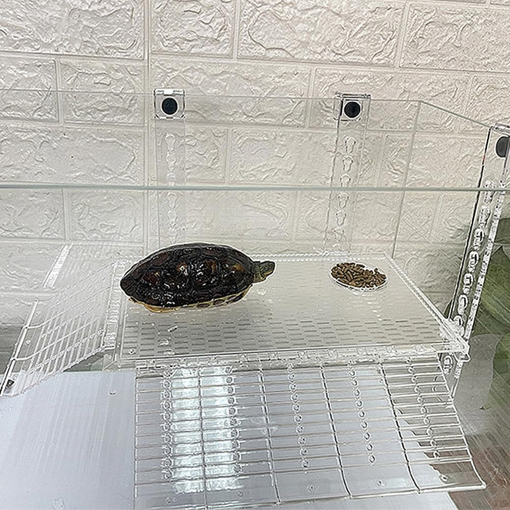 YXQ uso amplio para tortugas, lagartos y otros reptiles en acuario