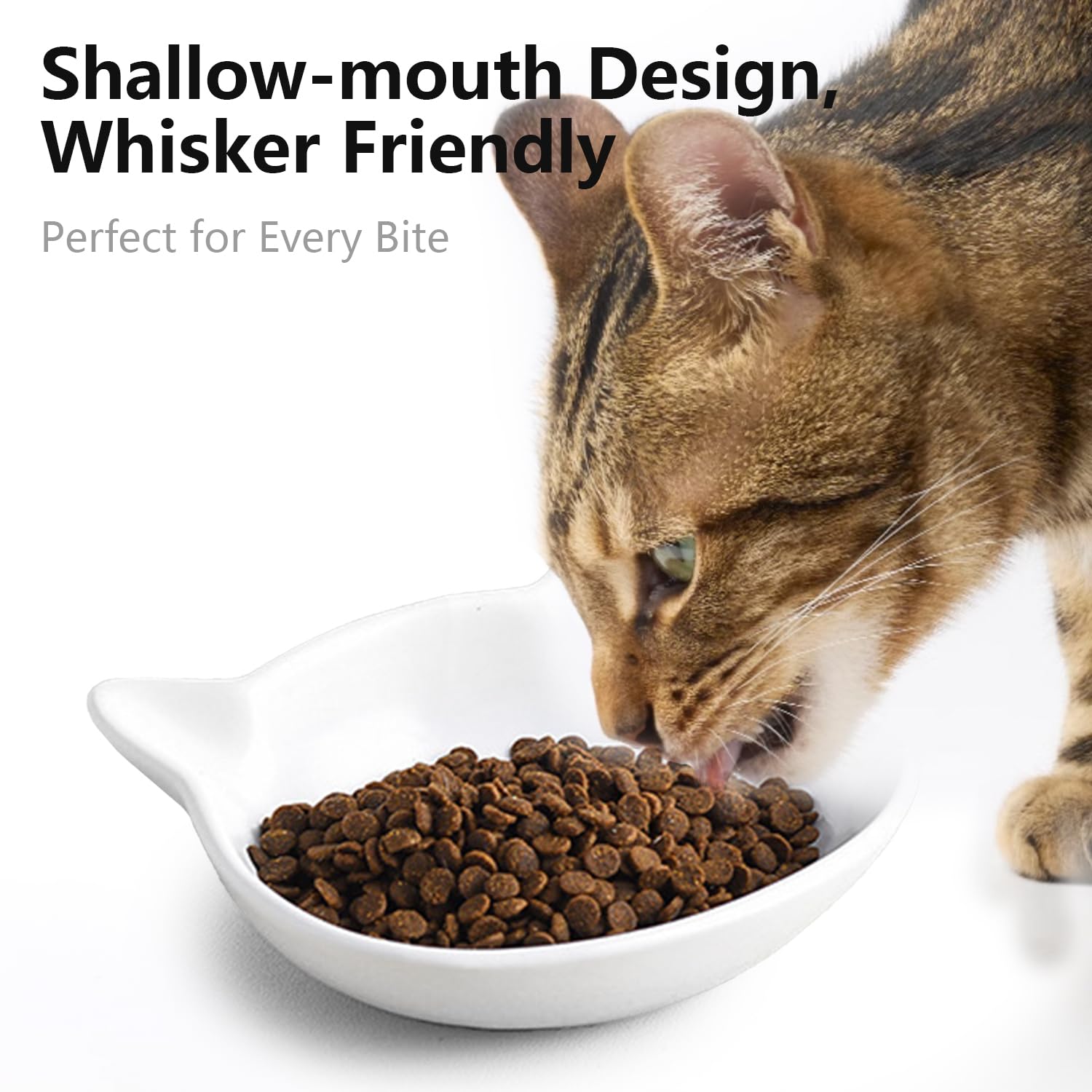 Tazon-ceramico-frente-bajo: tazón de diseño bajo YY-Esahomu que cuida el bigote.