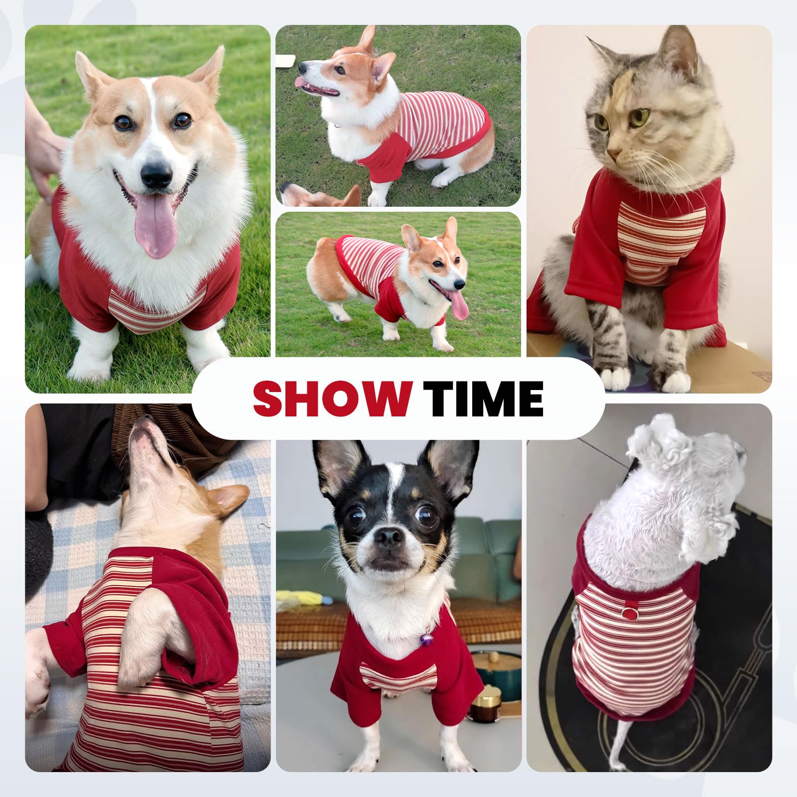 Uso diario en interiores con la camiseta de fleece YZHZIIR para perros