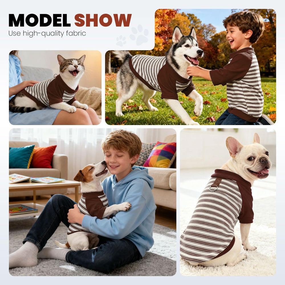Camiseta para perro YZHZIIR, ideal para paseos al aire libre.