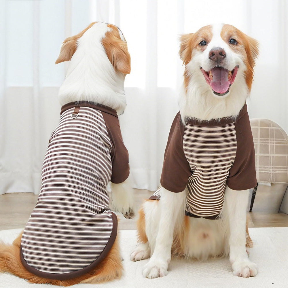 Rayas YZHZIIR en cinco colores, estilo moderno para perros.