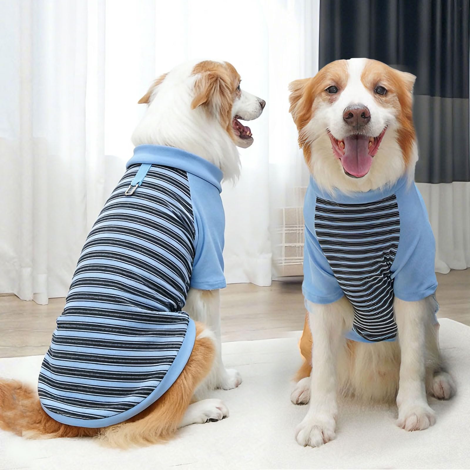 Rayas modernas en cinco colores para estilo diario.