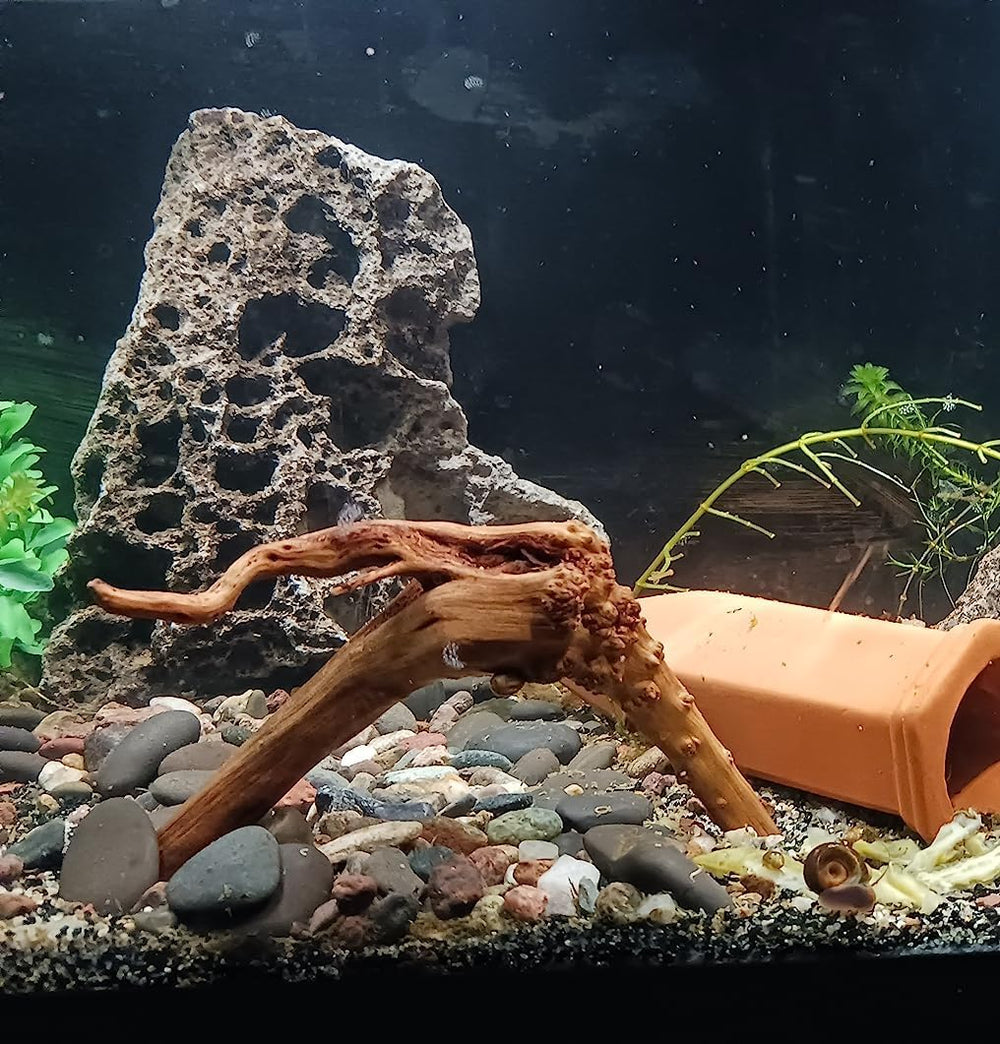 YZHZOM: diseño único de madera flotante para acuario, añade encanto natural y textura.
