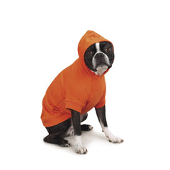 Zack & Zoey Basic Hoodie para perros: espalda naranja y estilo visible