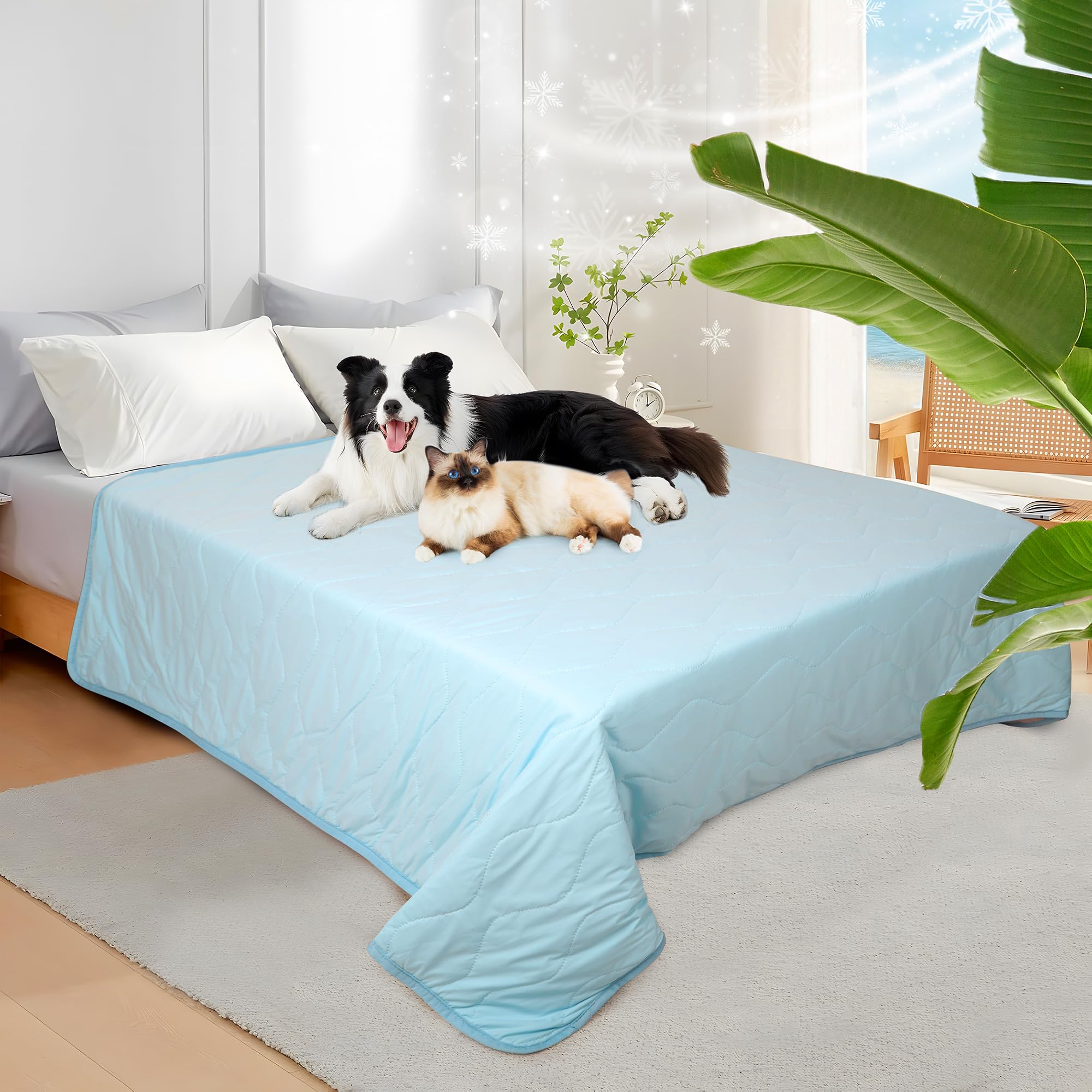 Uso diario de la cobija ZAKAPAWS para muebles y coche con comodidad.