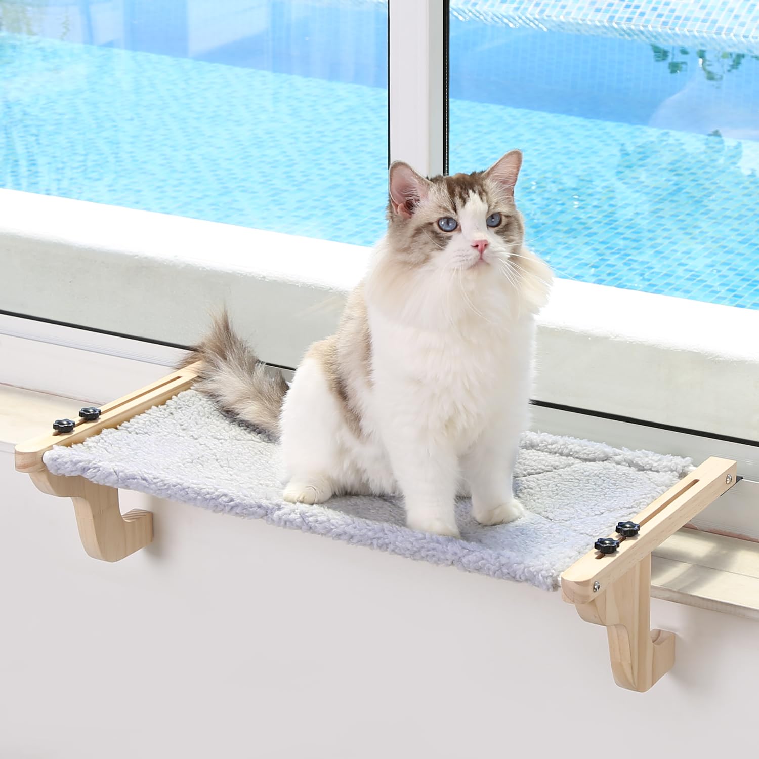 Zakkart Easy Seat Perch en ventana con madera natural, ideal para descansar y observar desde la altura.