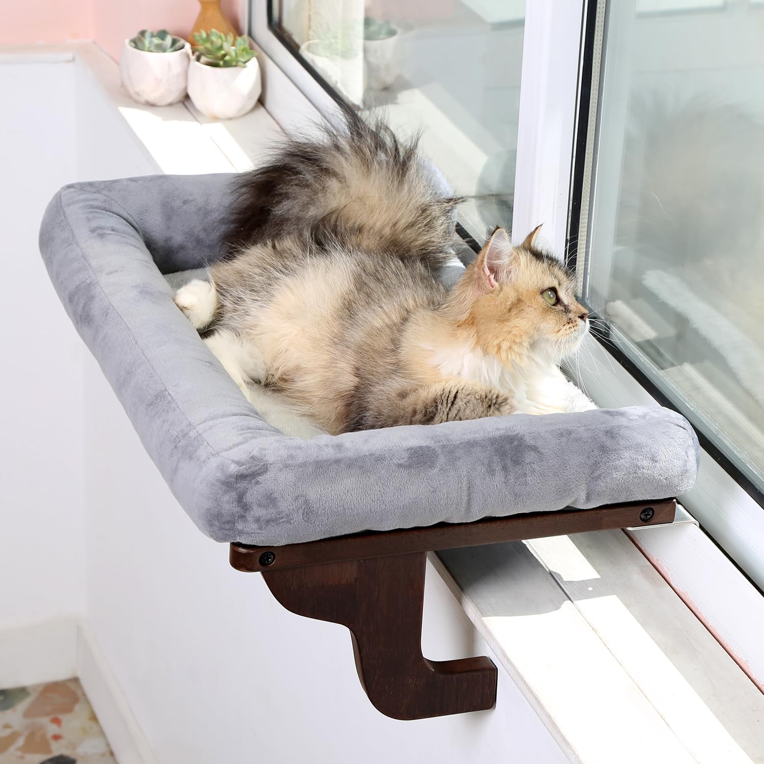 Zakkart percha para gato en ventana con almohadón, descanso cómodo frente a la luz natural.