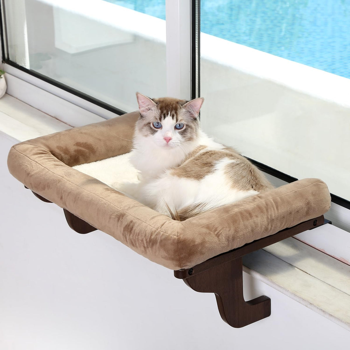 Zakkart percha-ventana con cojín para gatos, soporte cómodo frente a la ventana.