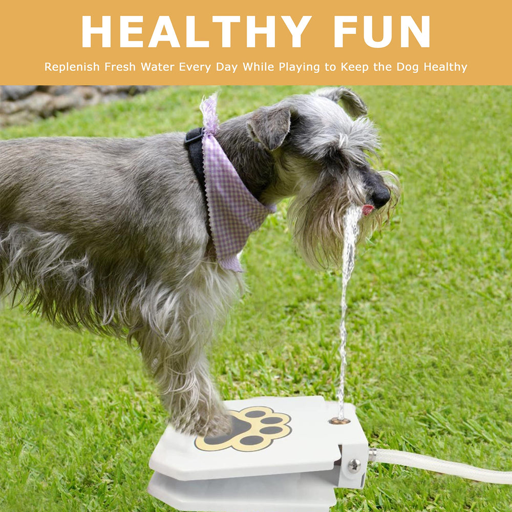 ZALBYUY dispensador-agua-perro-exterior: anima a beber en exterior