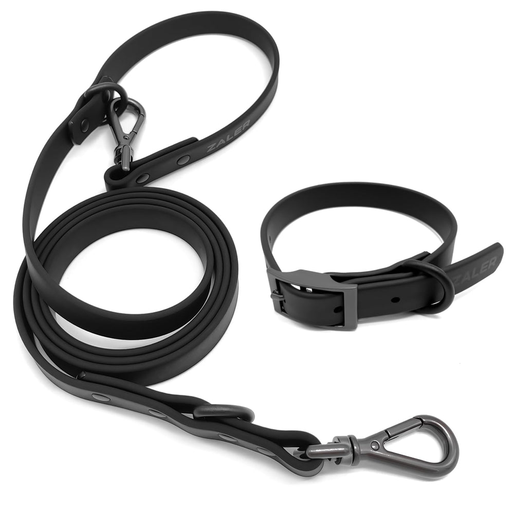 Collar ZALER impermeable y ajustable para perros, ideal para paseos