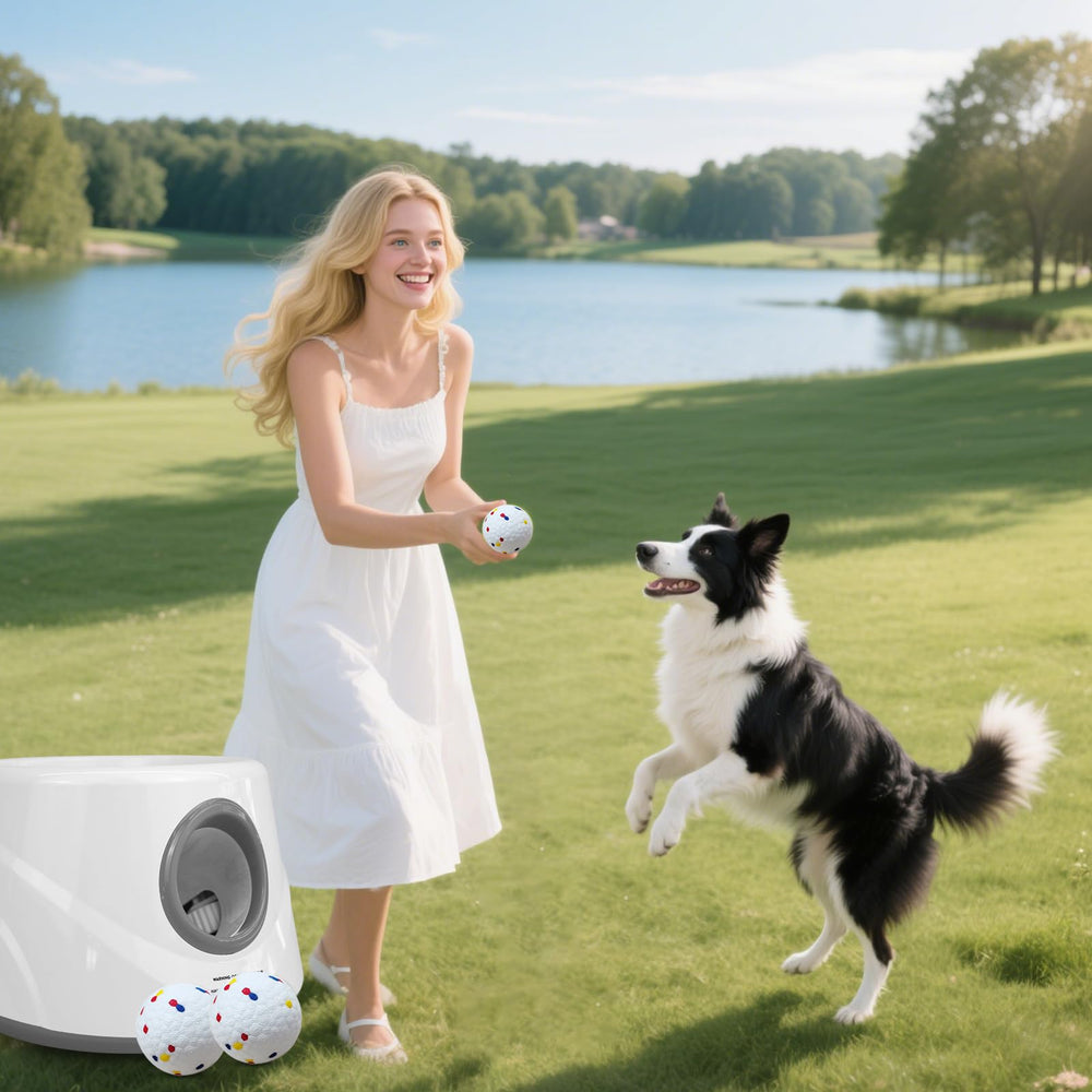 Juego interactivo ZAPELL para perros, estimula actividad física y conexión.