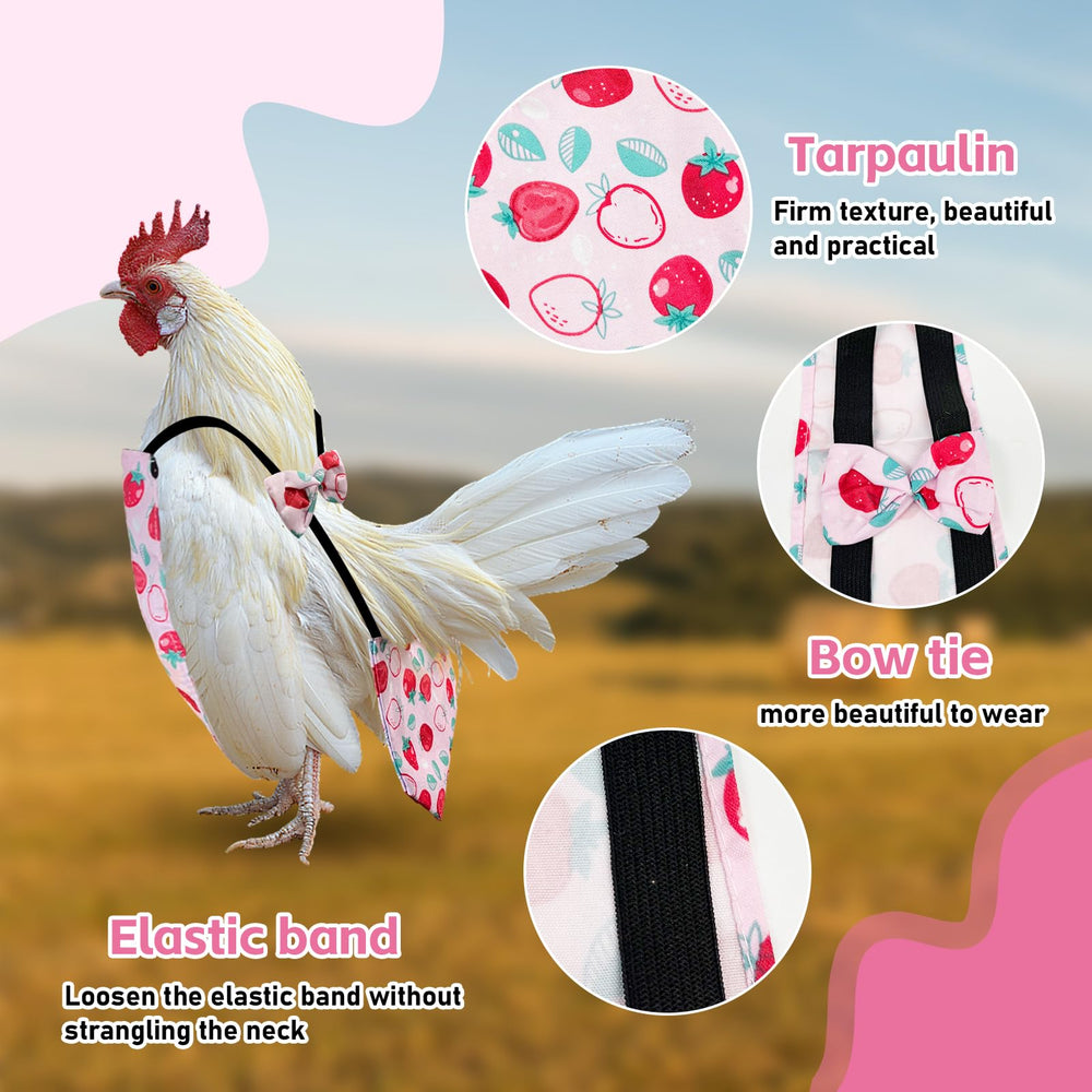 Pañales con cierre de velcro para aves de Zaruatu, cambio rápido y seguro.
