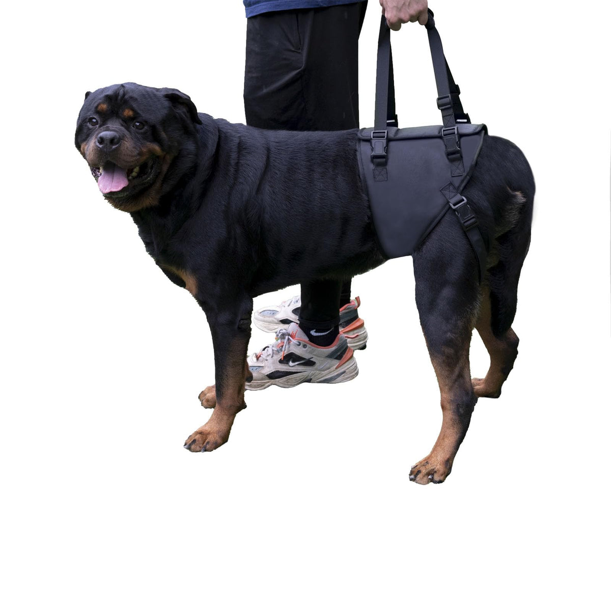 ZDBFu arnés levantamiento para perro trasero ofrece soporte estable para movilidad