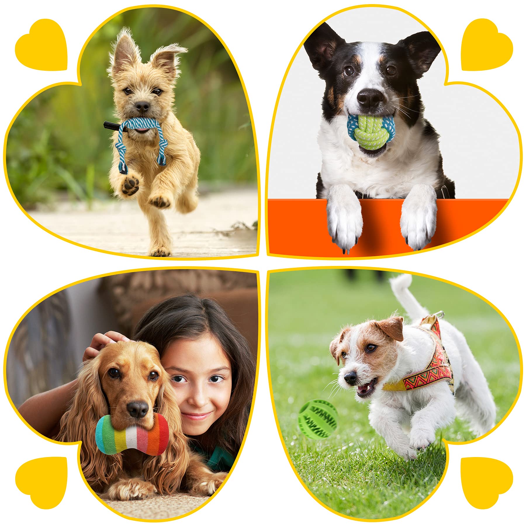 Conjunto completo Zeaxuie para cachorros: entretenimiento y rutina diaria.