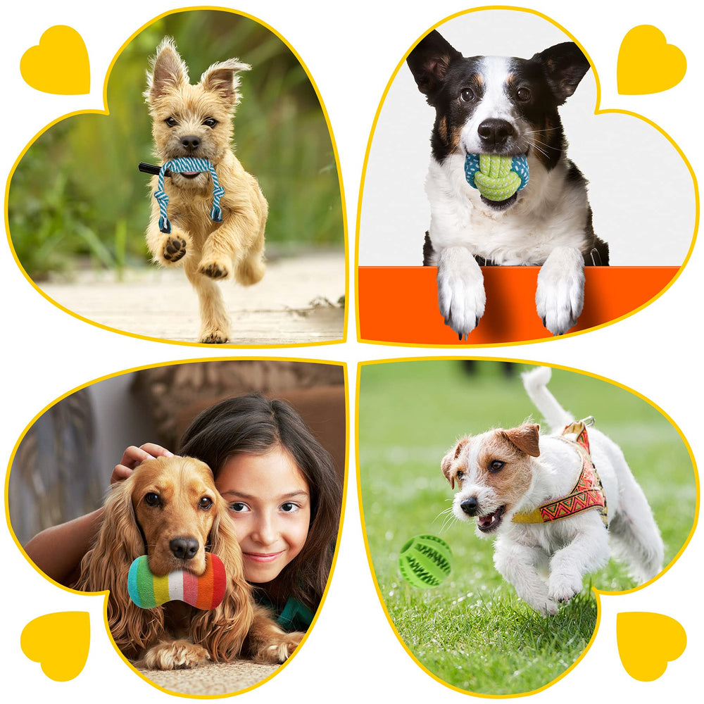 Conjunto completo Zeaxuie para cachorros: entretenimiento y rutina diaria.