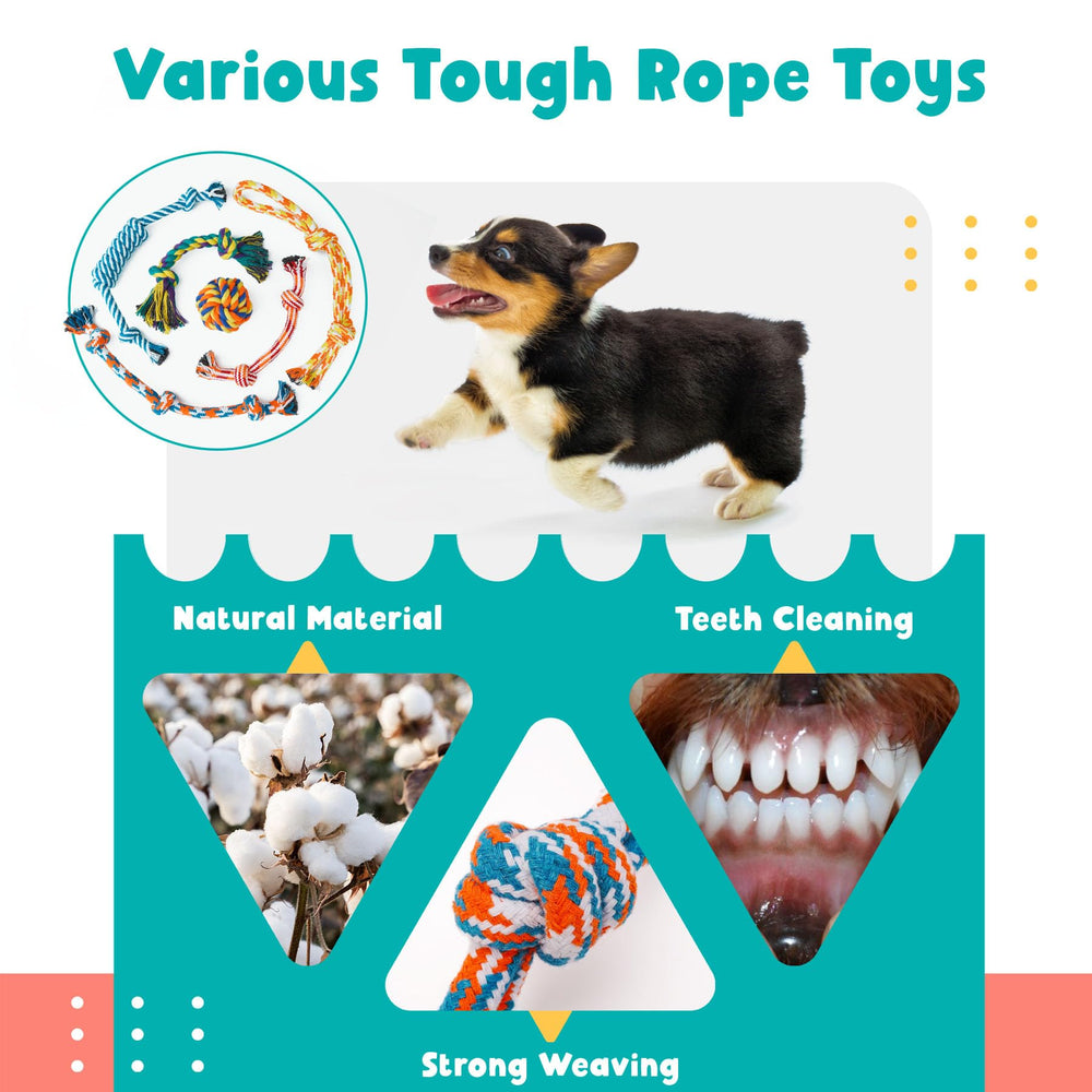 Zeaxuie peluche crujiente para cachorro, juego y curiosidad