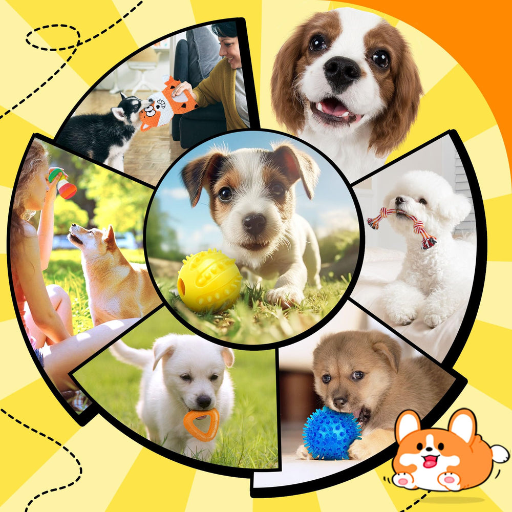 Zeaxuie-kit-juguetes-cachorros-pequenos, conjunto completo