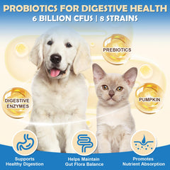 ZEBORA probiótico con pala medidora para dosis precisas en comida