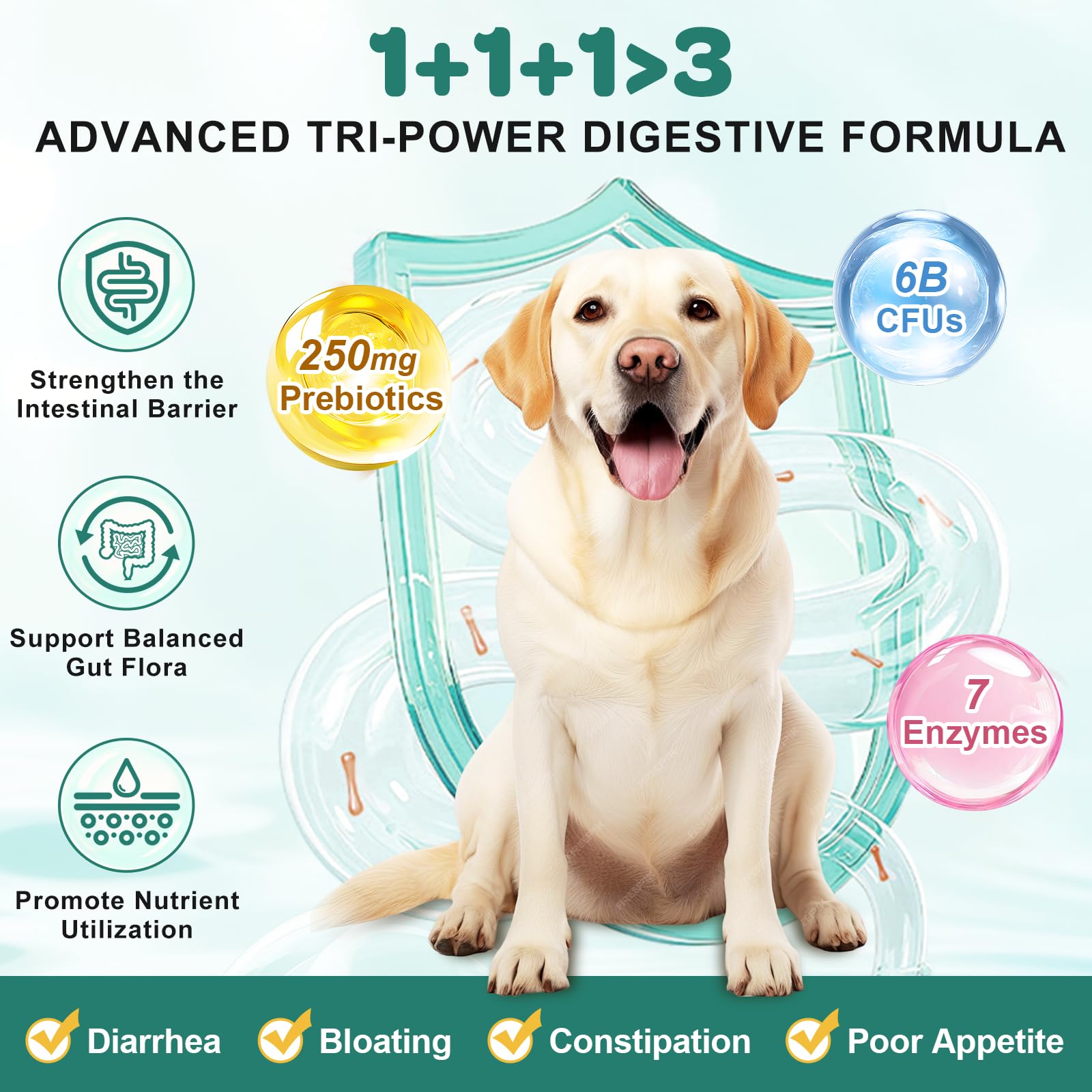 ZEBORA probióticos para perros mostrando 10 cepas y beneficios digestivos.