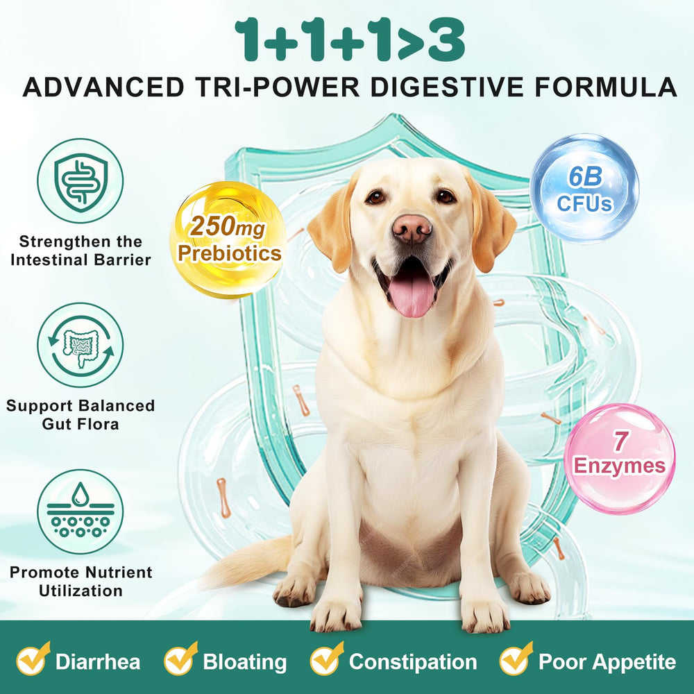 ZEBORA probióticos para perros mostrando 10 cepas y beneficios digestivos.