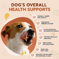ZEBORA probióticos para perros, calabaza nutritiva para apoyo digestivo