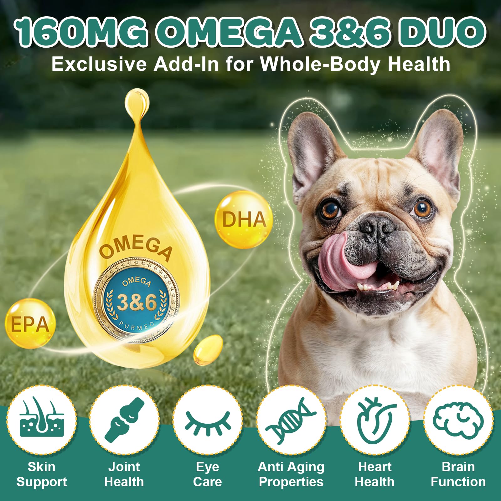 ZEBORA probióticos para perros con Omega-3 y Omega-6 para piel sana.