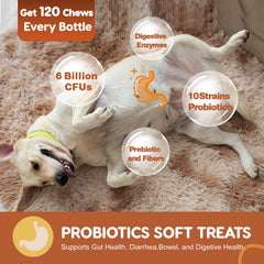 ZEBORA probióticos para perros, seis ingredientes clave para equilibrio intestinal
