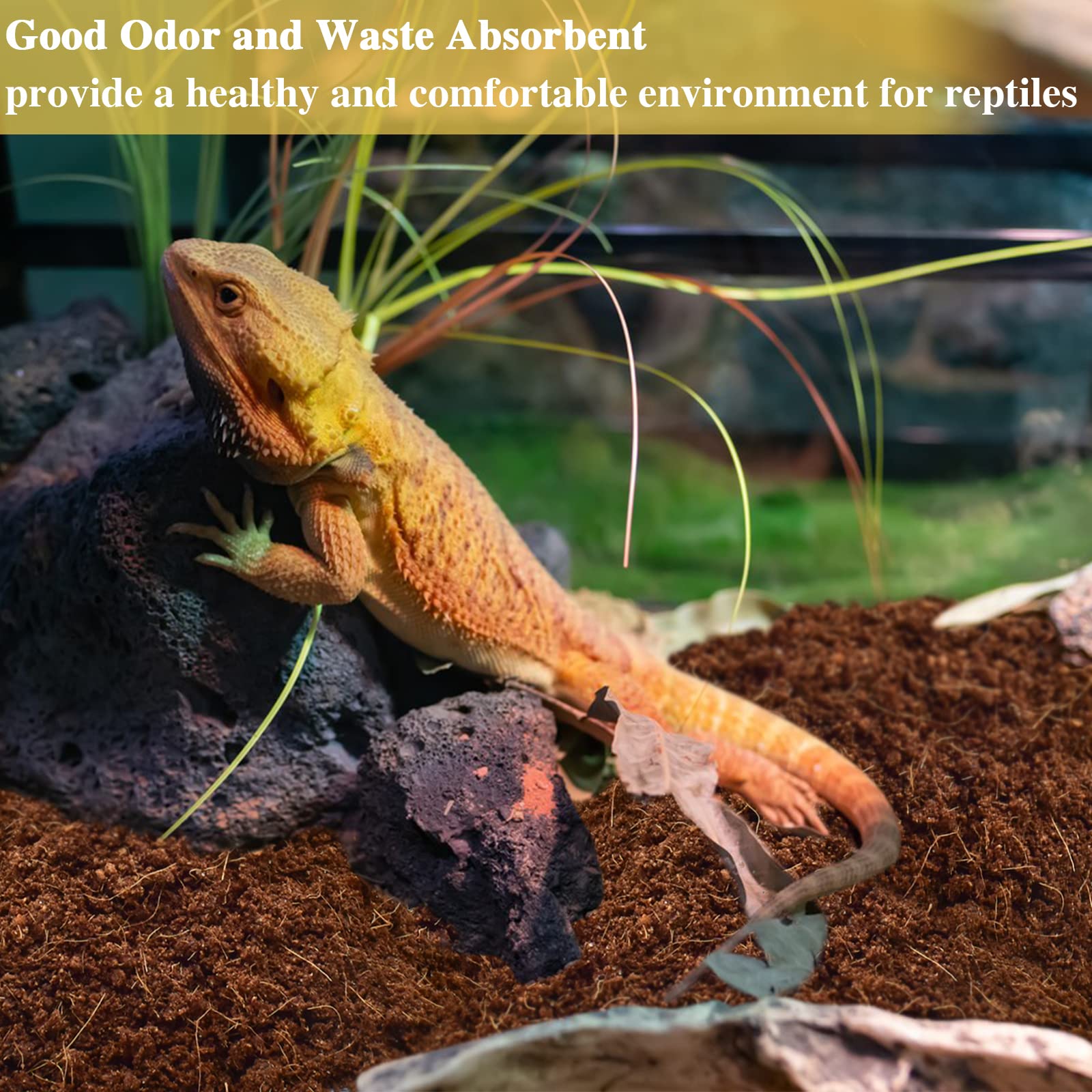 ZeeDix sustrato para terrario ofrece comodidad natural para mascotas