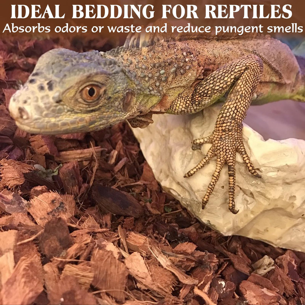 ZeeDix sustrato de coco para serpientes y otros reptiles, ambiente estable.