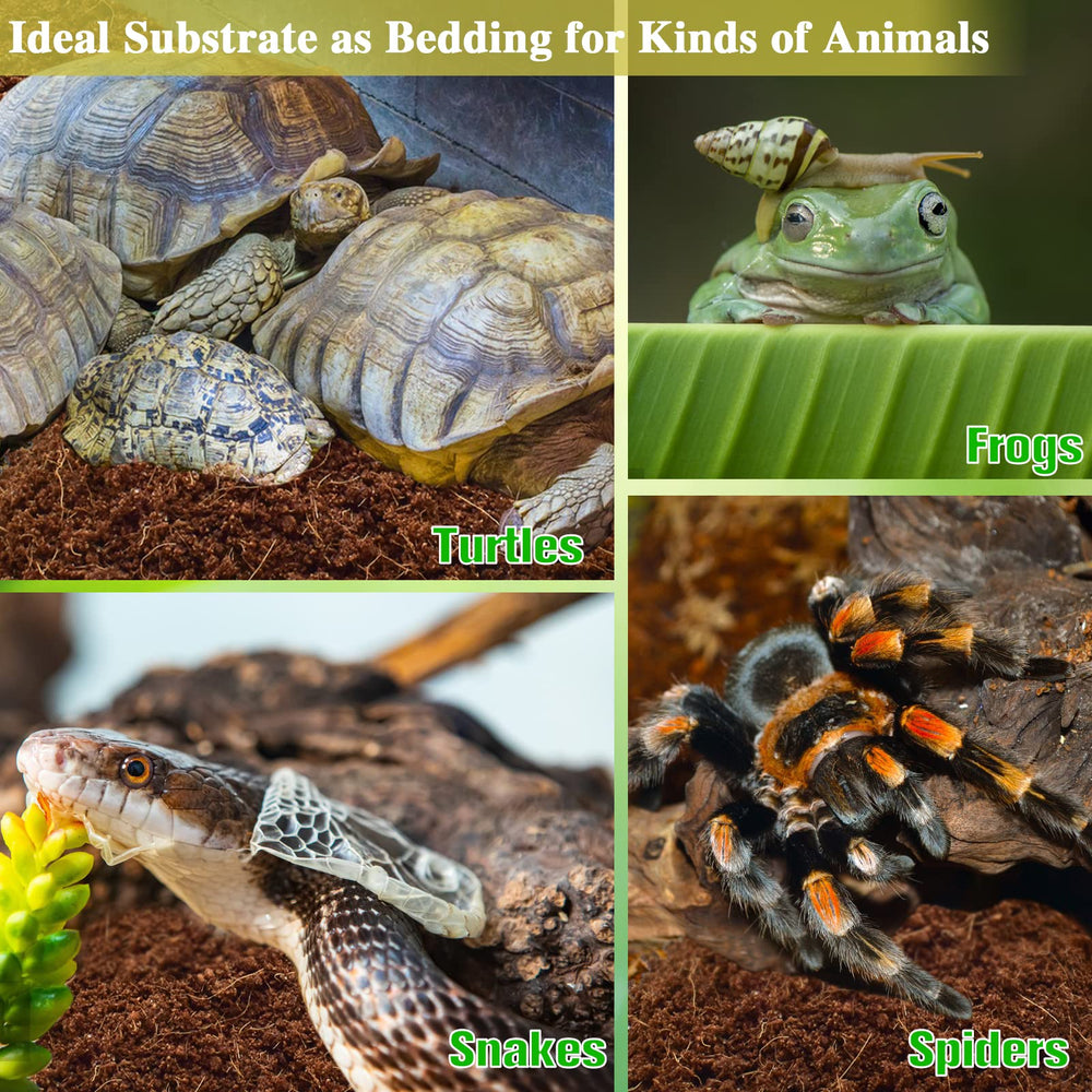 ZeeDix sustrato para reptiles, anfibios e invertebrados.